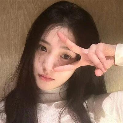 假元首秘纪
